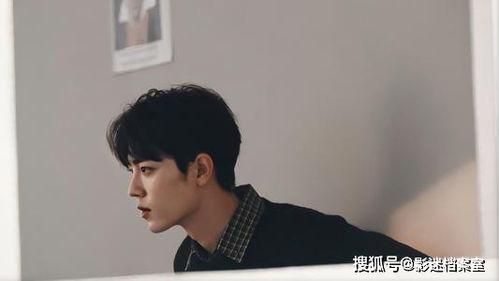 肖战主播互相爆料视频大全,精彩瞬间大盘点