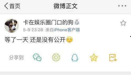 今日最新吃瓜爆料微博号,最新吃瓜爆料大揭秘！”