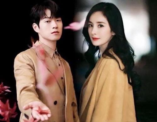 娱记爆料魏大勋视频大全,魏大勋视频大全，精彩瞬间一网打尽